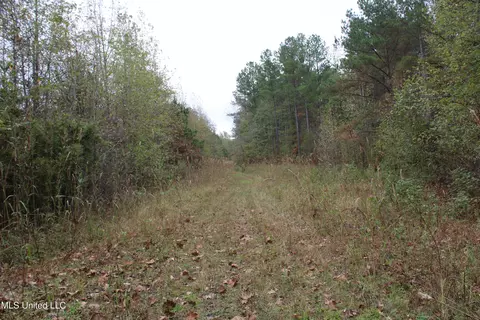 1400 Highway 35, Holcomb, MS 38940 photo 22