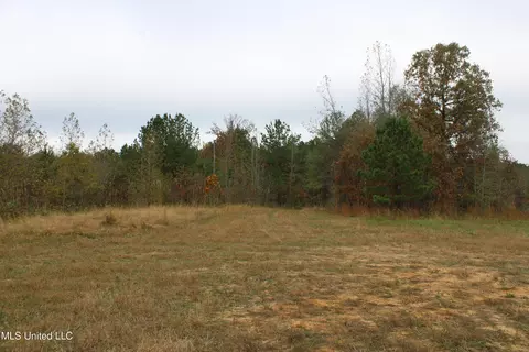1400 Highway 35, Holcomb, MS 38940 photo 9