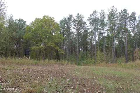 1400 Highway 35, Holcomb, MS 38940 photo 13