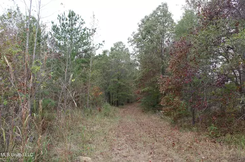 1400 Highway 35, Holcomb, MS 38940 photo 33