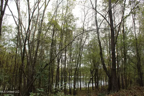 1400 Highway 35, Holcomb, MS 38940 photo 36