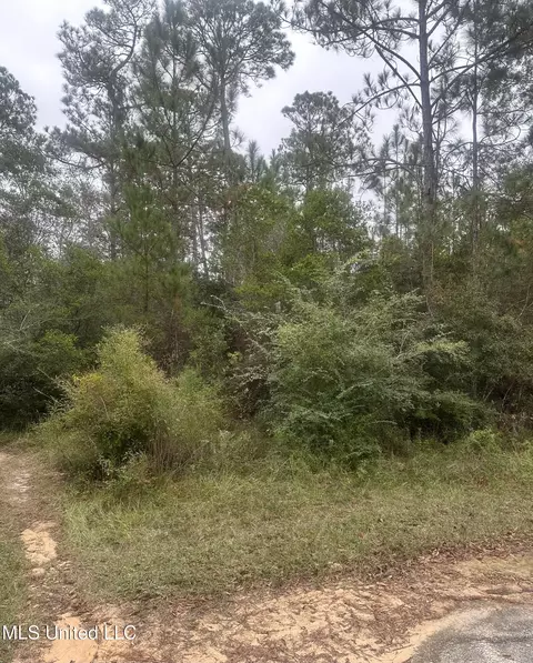 Oakplace Drive, Vancleave, MS 39565 photo 2