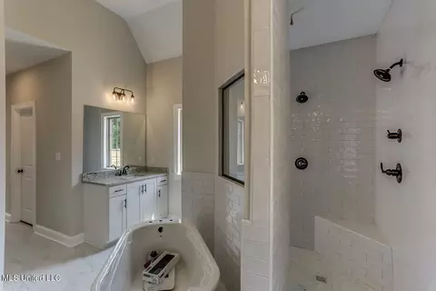 Bath - 4782 Taylor Trl, Hernando, MS 38632 photo 2 of 4