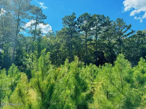 Freeman Road, Summit, MS 39666 photo 14