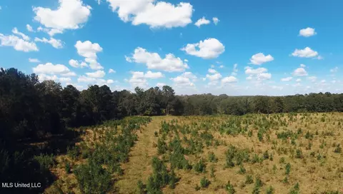 Freeman Road, Summit, MS 39666 photo 5