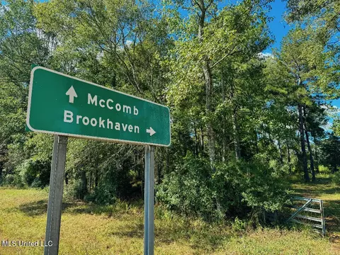 Freeman Road, Summit, MS 39666 photo 17
