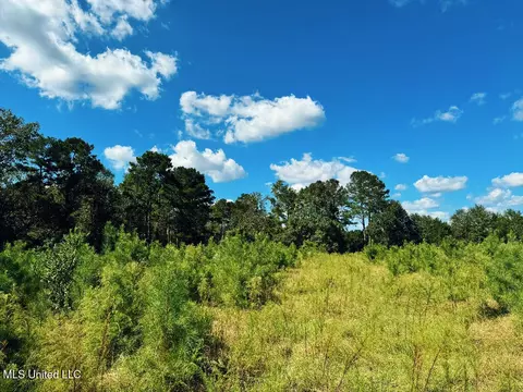 Freeman Road, Summit, MS 39666 photo 9