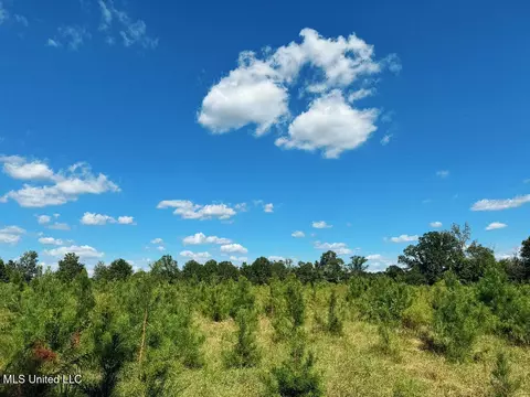 Freeman Road, Summit, MS 39666 photo 13