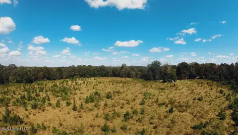 Freeman Road, Summit, MS 39666 photo 10