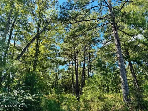 Freeman Road, Summit, MS 39666 photo 6