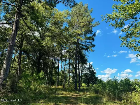 Freeman Road, Summit, MS 39666 photo 3