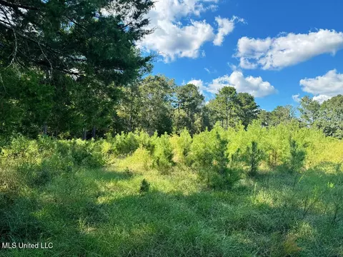 Freeman Road, Summit, MS 39666 photo 15