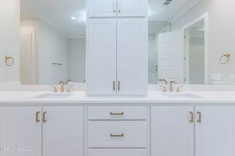 Bath - 104 Parson Pl, Madison, MS 39110 photo 4 of 15