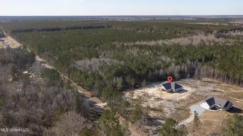 520 Martin Luther King Dr, Forest, MS 39074 photo 58