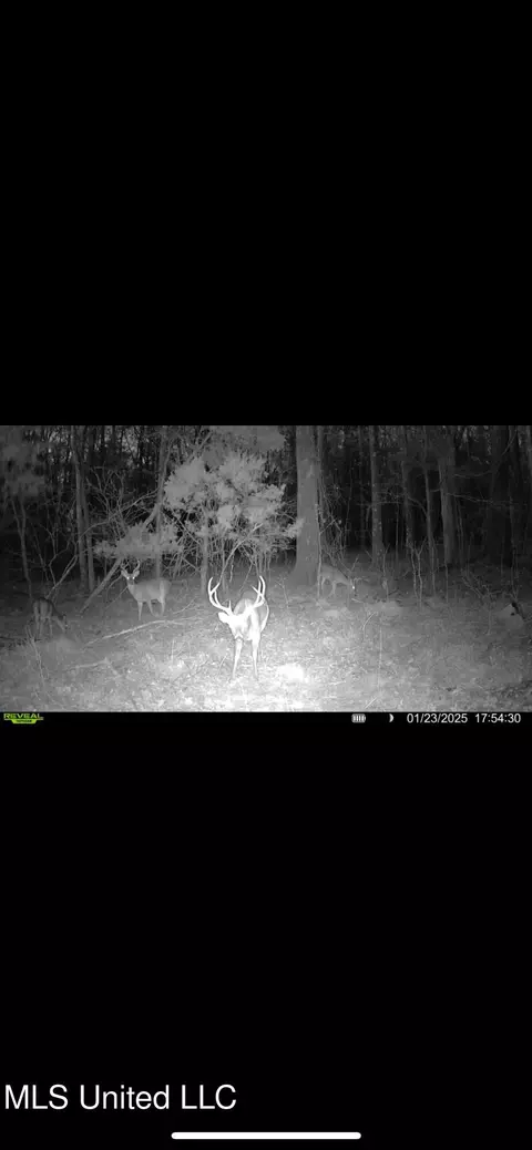 0 Ms - Hwy 18, Raymond, MS 39154 photo 35