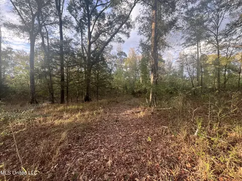 0 Ms - Hwy 18, Raymond, MS 39154 photo 14