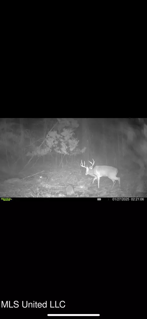 0 Ms - Hwy 18, Raymond, MS 39154 photo 34