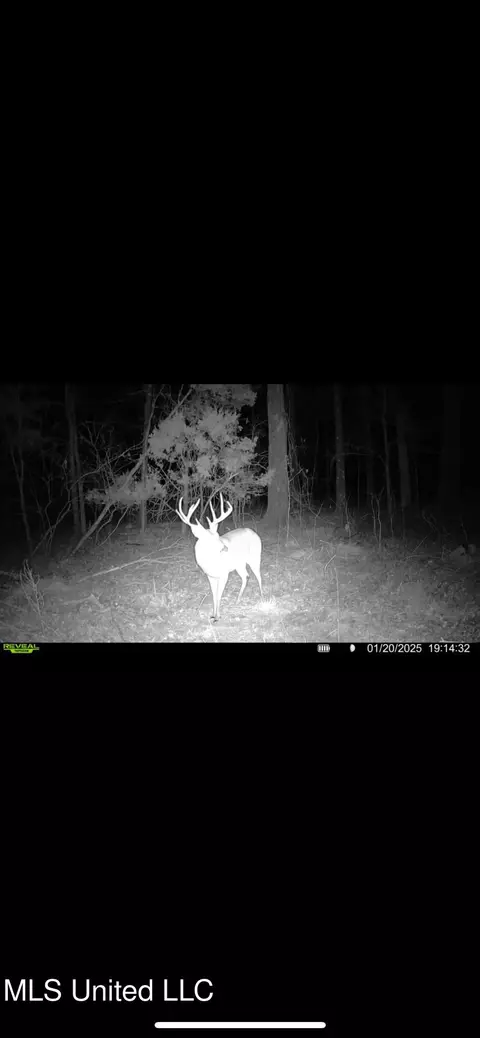 0 Ms - Hwy 18, Raymond, MS 39154 photo 36