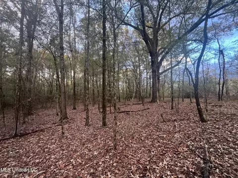 0 Ms - Hwy 18, Raymond, MS 39154 photo 18