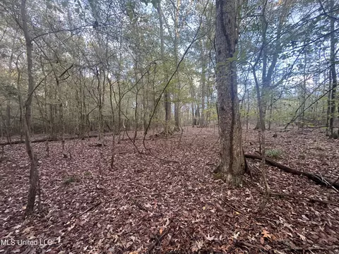 0 Ms - Hwy 18, Raymond, MS 39154 photo 19