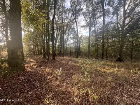 0 Ms - Hwy 18, Raymond, MS 39154 photo 11