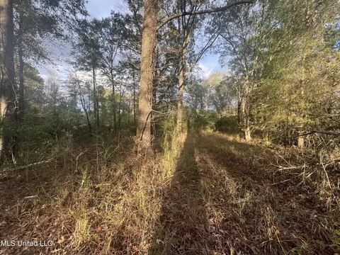 0 Ms - Hwy 18, Raymond, MS 39154 photo 12