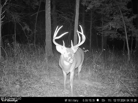 0 Ms - Hwy 18, Raymond, MS 39154 photo 42