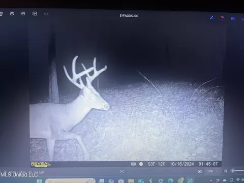 0 Ms - Hwy 18, Raymond, MS 39154 photo 38