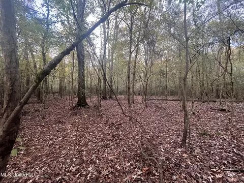 0 Ms - Hwy 18, Raymond, MS 39154 photo 20