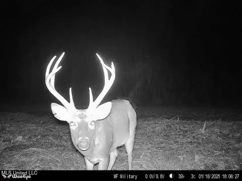 0 Ms - Hwy 18, Raymond, MS 39154 photo 37