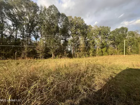 0 Ms - Hwy 18, Raymond, MS 39154 photo 9