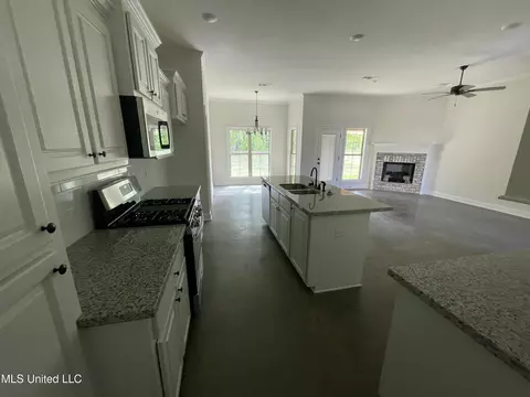 225 Hemingway Cir, Canton, MS 39046 photo 5