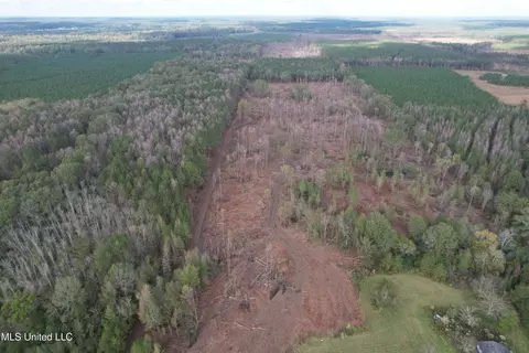 Holly Bush Road Road, Pelahatchie, MS 39145
