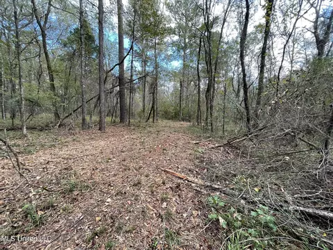 Lone Pine, Canton, MS 39046 photo 11