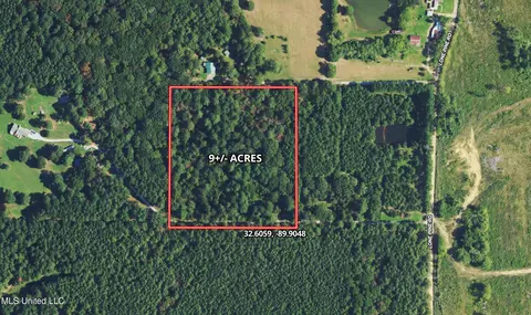 Lone Pine, Canton, MS 39046 photo 17
