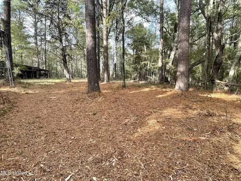 Lone Pine, Canton, MS 39046 photo 6
