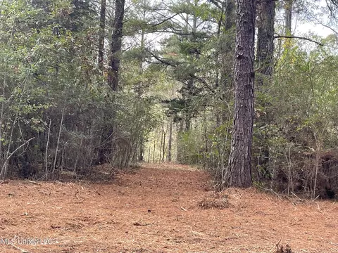 Lone Pine, Canton, MS 39046 photo 2