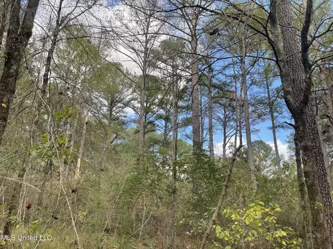 Lone Pine, Canton, MS 39046 photo 14