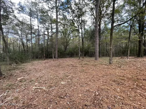 Lone Pine, Canton, MS 39046 photo 8