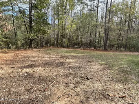 Lone Pine, Canton, MS 39046 photo 5