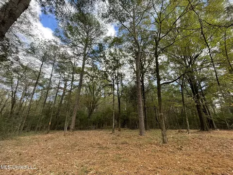 Lone Pine, Canton, MS 39046 photo 9