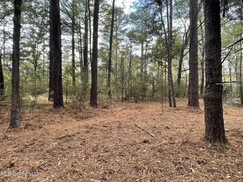 Lone Pine, Canton, MS 39046 photo 7