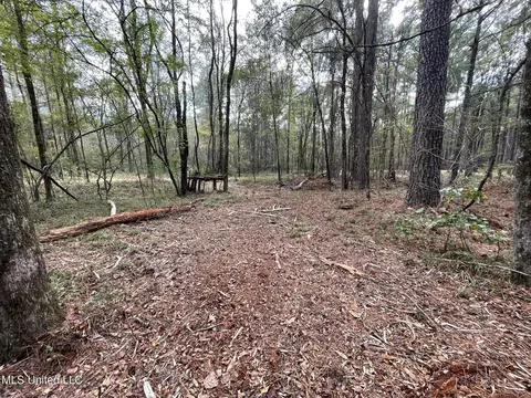 Lone Pine, Canton, MS 39046 photo 10