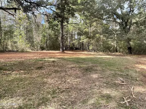 Lone Pine, Canton, MS 39046 photo 4