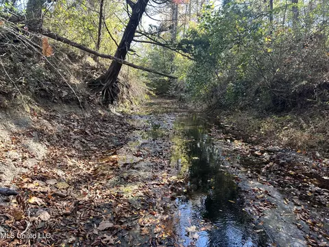 Co Rd 2, Myrtle, MS 38650 photo 38