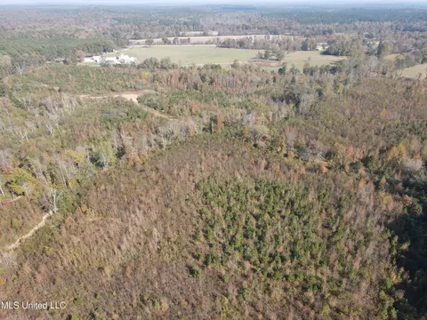 Co Rd 2, Myrtle, MS 38650 photo 20