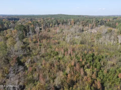 Co Rd 2, Myrtle, MS 38650 photo 3