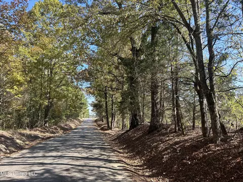 Co Rd 2, Myrtle, MS 38650 photo 24