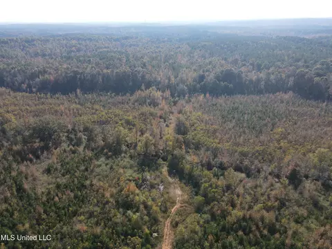 Co Rd 2, Myrtle, MS 38650 photo 22