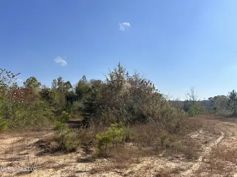 Co Rd 2, Myrtle, MS 38650 photo 29